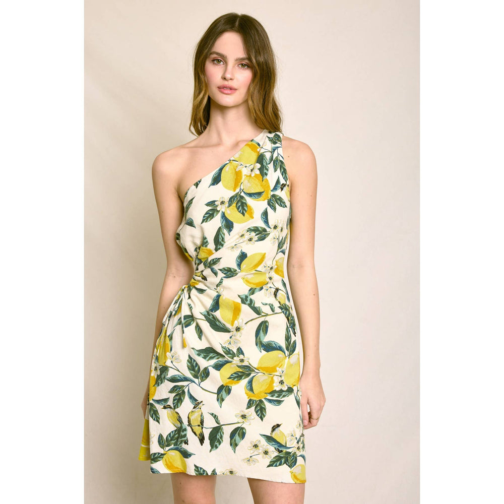 Amalfi Coast Lemon Grove Mini Dress